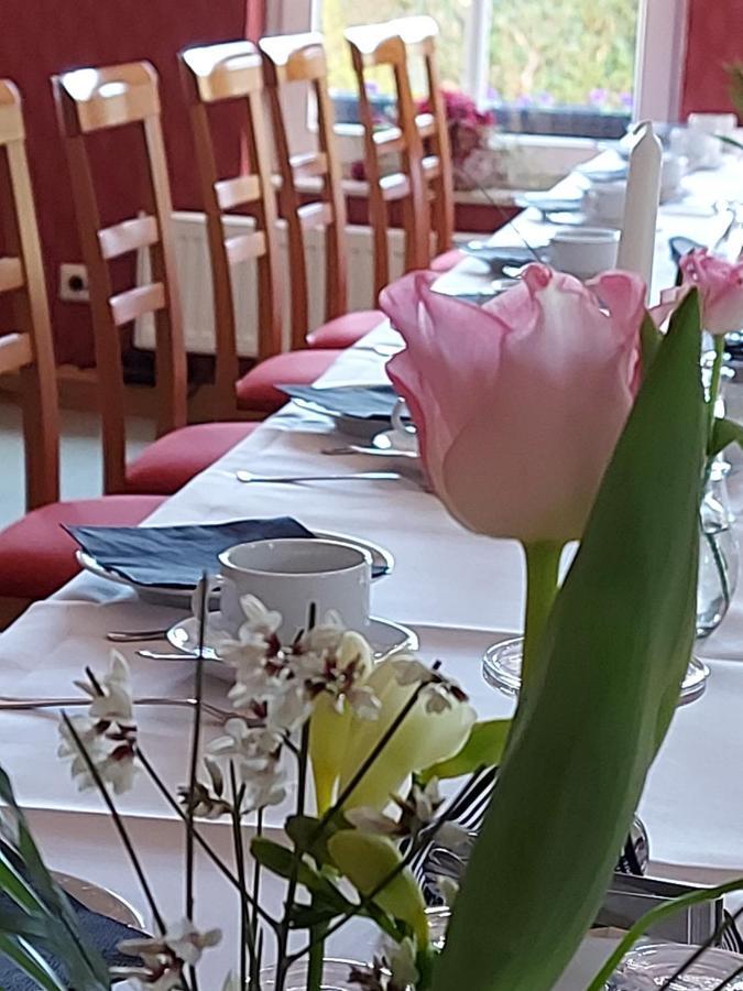 Am Wasserturm Pension Bad Muskau Eksteriør bilde